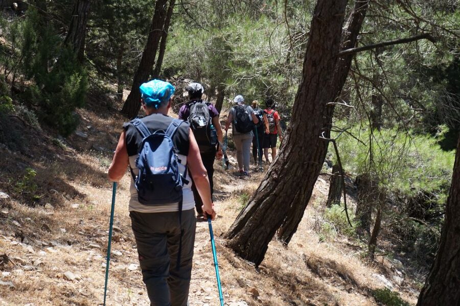 Rhodes: Hiking Tour to the Summit of Akramitis with Photos - Why Akramitis feels like Rhodes beyond the usual stops