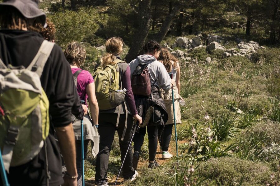 Rhodes: Hiking Tour to the Summit of Akramitis with Photos - The uphill route: cypress shade to rocky hands-and-feet moments