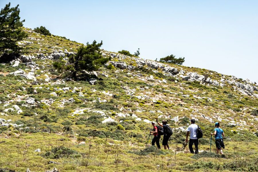 Rhodes: Hiking Tour to the Summit of Akramitis with Photos - Summit payoff: 360-degree views of Rhodes and the Dodecanese