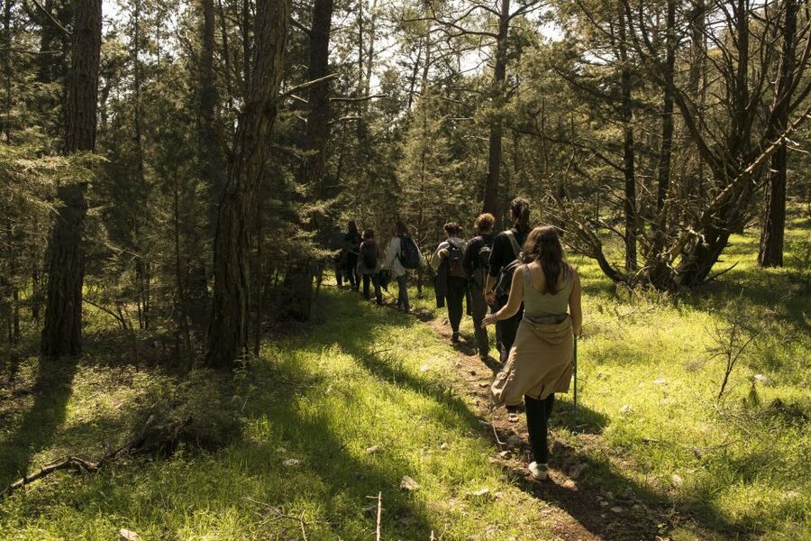 Rhodes: Hiking Tour to the Summit of Akramitis with Photos - Equipment, snack, and photos: what you actually get for your money