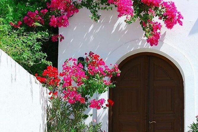 Rhodes, Lindos and Medieval City Guided Tour from Cruise Port - Price and Logistics: What $83.27 Buys You