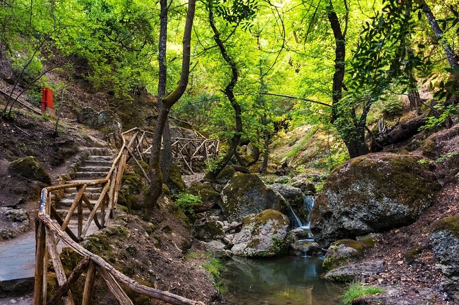 Rhodes & Lindos & Butterfly Valley - Private Half-day Excursion - Valley of the Butterflies: the seasonal reset when the heat turns serious