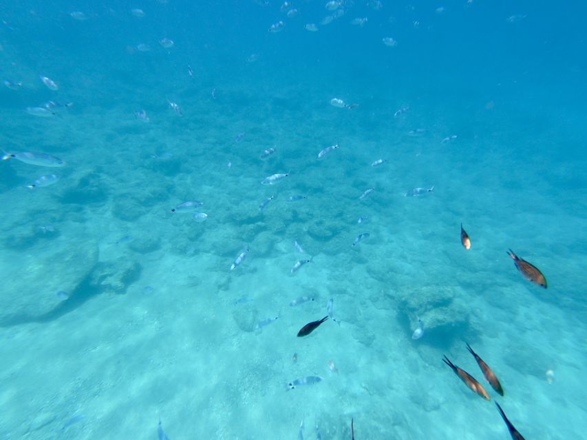 Rhodes: Luxury RIB All-Inclusive Swimming Cruise to 3 Bays - Anthony Quinn Bay: the best kind of 45 minutes—snorkel or chill