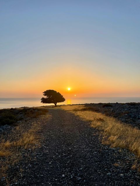 Rhodes: Pefkos-Navarone Bay, “the magic of sunrise” - Into the Pine Grove: Why the Return Feels Different