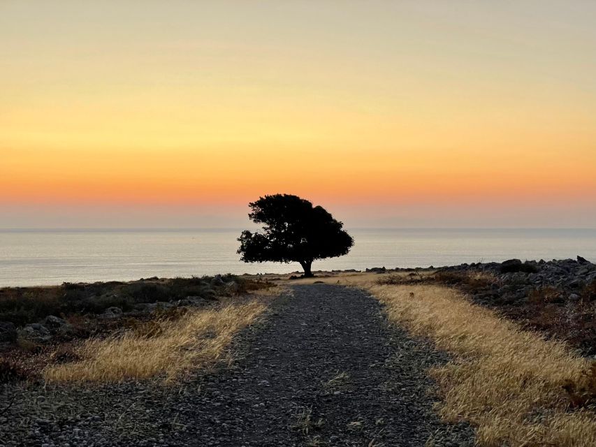 Rhodes: Pefkos-Navarone Bay, “the magic of sunrise” - Price and Value: Why $34 Can Make Sense