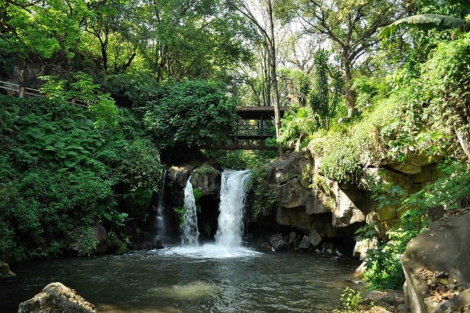 Rhodes Private Tours - Why This East Rhodes Private Tour Feels Different Than a Bus Day