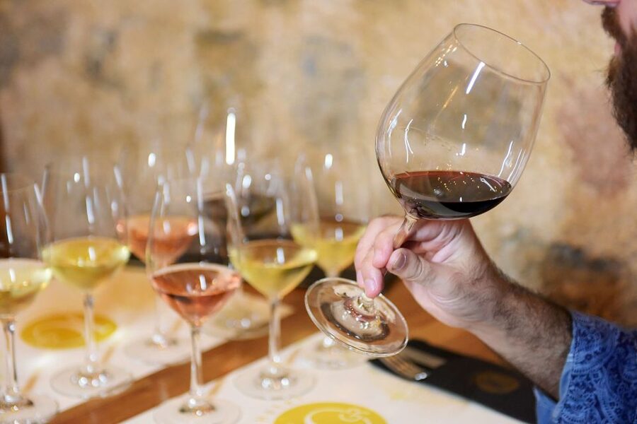 Rhodes: Private Wine Tasting Experience for Beginners - Food Pairings That Teach You What Actually Works