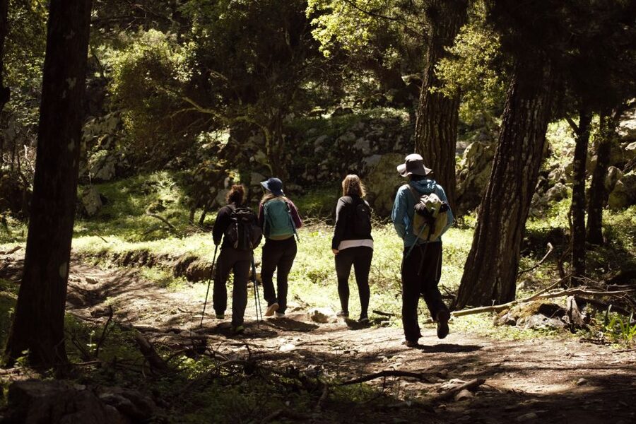 Rhodes: Profitis Ilias Guided Sunset Hike - The Descent With Headlamps: When the Adventure Turns Real