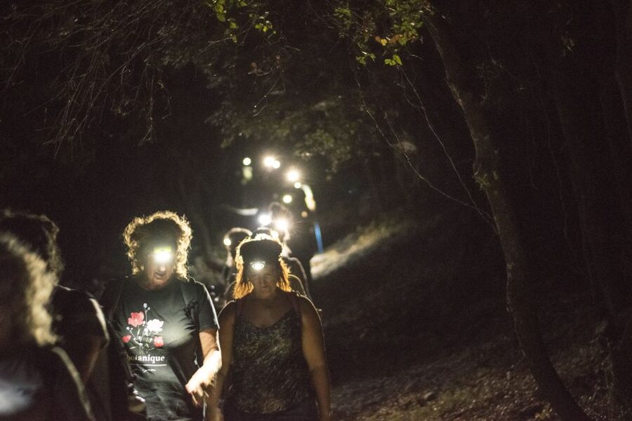 Rhodes: Profitis Ilias Guided Sunset Hike - Who This Sunset Hike Really Suits