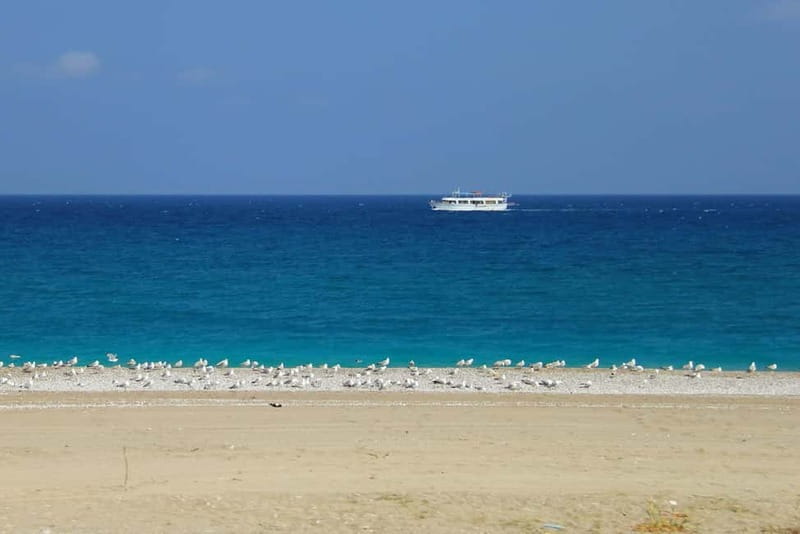 Rhodes: Safari with our driver - North - Pick ups East Coast - The Calm East-Coast Swim: Why This Tour Picks the Quiet Side