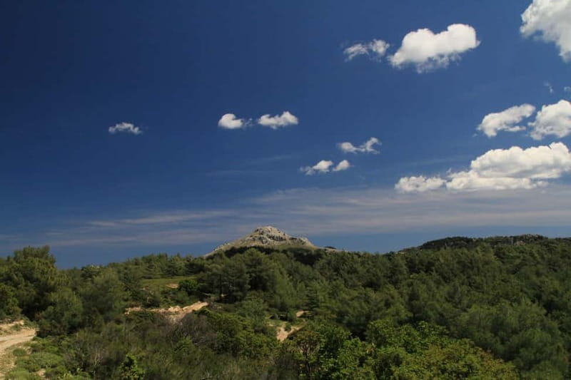 Rhodes: Safari with our driver - North - Pick ups East Coast - Price and Value: What $87 Buys in Real Time
