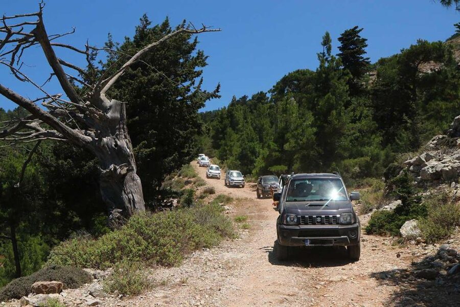 Rhodes: Self-Drive 4x4 Safari Tour with North Pickup - Who This Tour Fits Best (and Who Should Skip It)