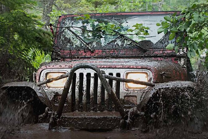 Rhodes Self Drive 4x4 Wilderness Expedition & Traditional Lunch - Key highlights you’ll actually feel during the day