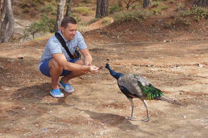 Rhodes Self Drive 4x4 Wilderness Expedition & Traditional Lunch - Price and logistics: whether the $150.37 rate makes sense