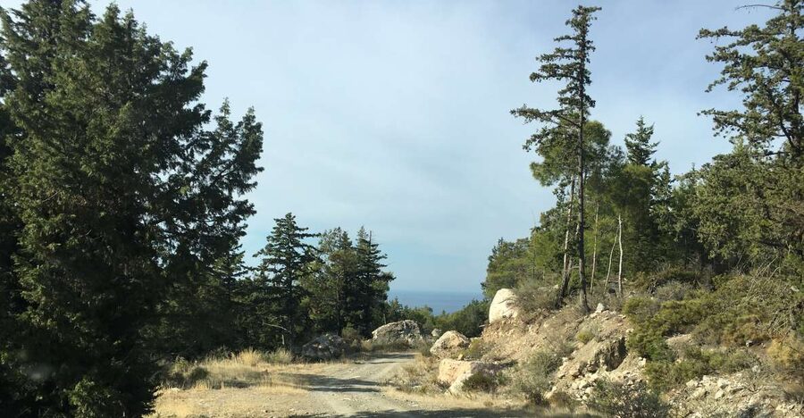 Rhodes South Safari: Mountains & Local Flavors - Hotel pickup, 4x4 jeeps, and how the day stays comfortable