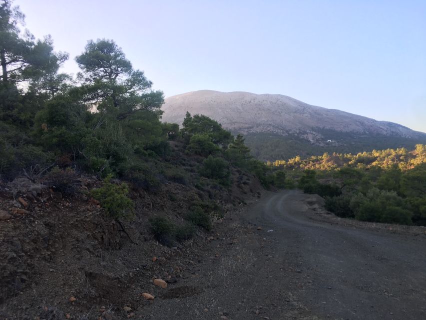 Rhodes South Safari: Mountains & Local Flavors - What to bring (and what to skip) for an easier off-road day