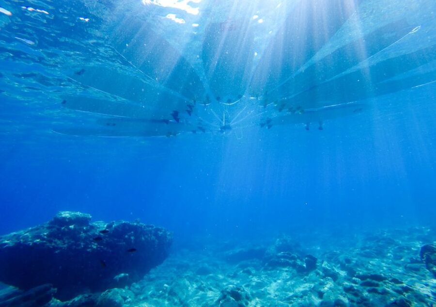 Rhodes: Stand-Up Paddleboard and Snorkeling Tour - What’s Included (and What You Need to Bring)