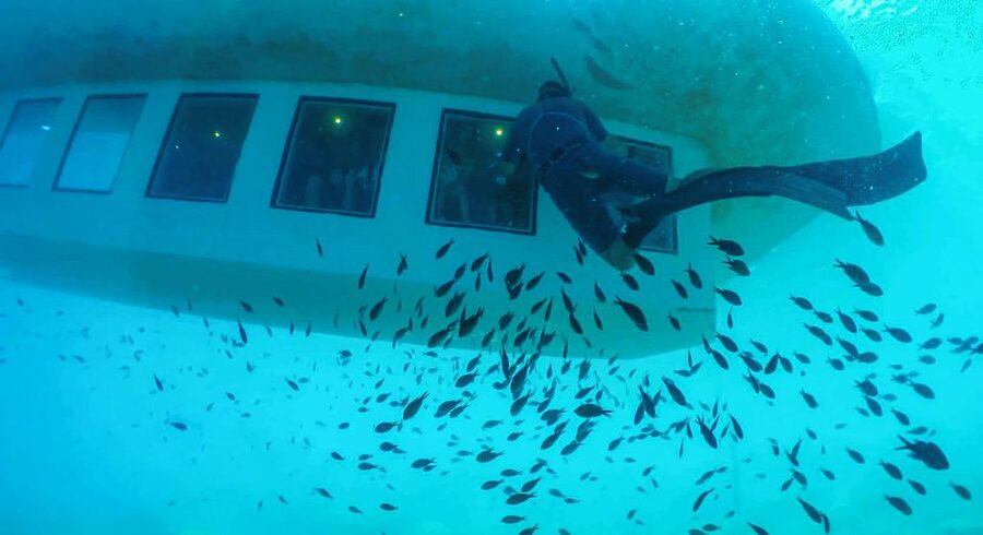 Rhodes Town: Submarine Cruise with Underwater Views - Who this fits best in your Rhodes day plan
