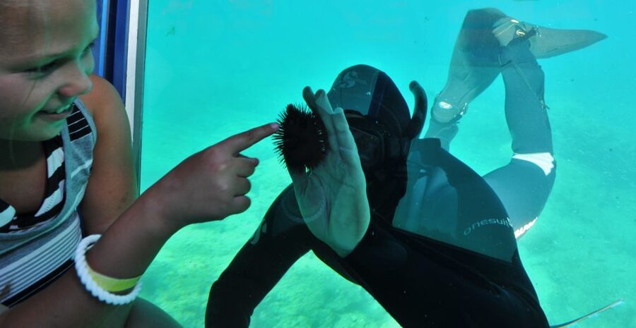 Rhodes Town: Yellow Submarine Cruise with Underwater Views - Key highlights to look forward to