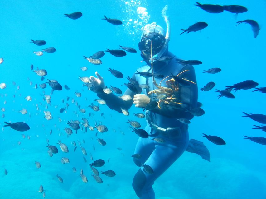 Rhodes Town: Yellow Submarine Cruise with Underwater Views - Rhodes Bay in 45 minutes: the route and the views that matter