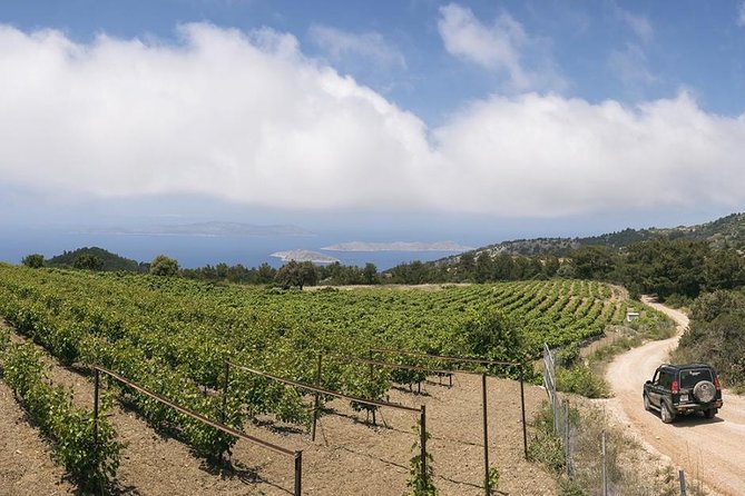 Rhodes Uncharted South Safari: Mountains, Monasteries, & Flavors - Why this south Rhodes safari feels different