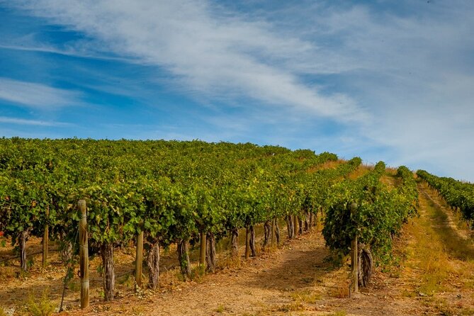 Rhodes Wine & Food Tour: 10 Meal Course Lunch, Wine Tasting, Cooking Class - The 10-Course Greek Lunch and Unlimited Wine Reality Check