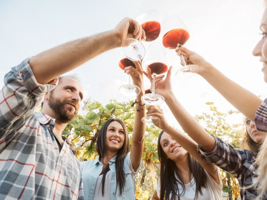 Rhodes: Winery Tour, Tasting and cooking with the Winemaker - Greek cooking class: make tzatziki and eggplant salad, then learn the rhythm