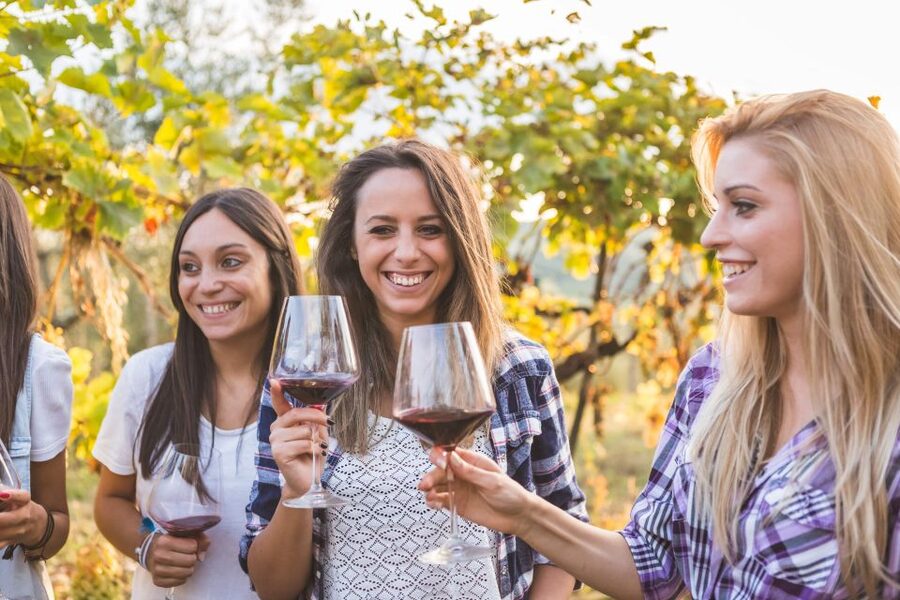 Rhodes: Winery Tour, Tasting and cooking with the Winemaker - Mezedes meal overlooking the vineyards: mostly vegetarian and pairing-friendly