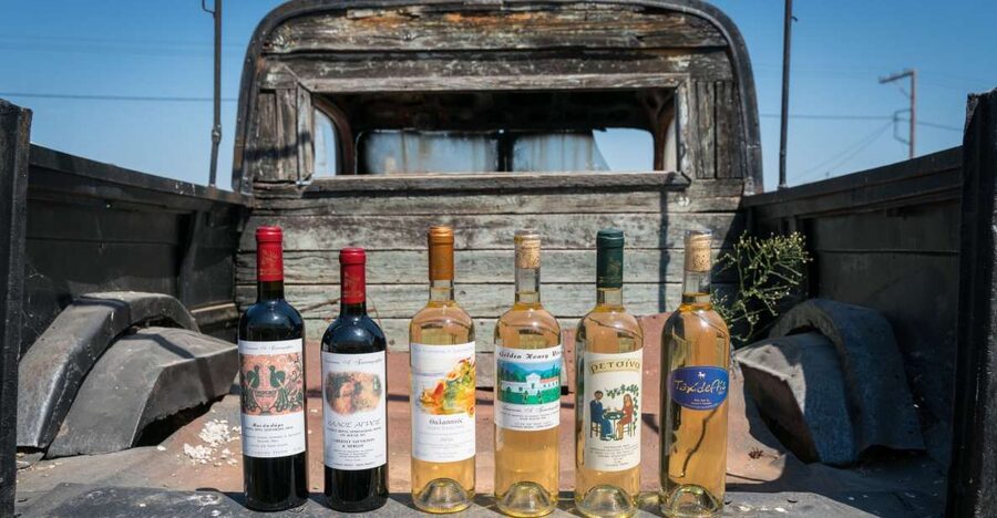 Rhodes: Winery Tour, Tasting and cooking with the Winemaker - Vineyard walk with local grape varieties and sustainable viticulture