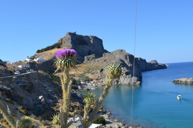 Rhodos-Vip: Guided Tour to Lindos village + Butterflies Valley - Small-group Rhodes days: why this pairing works
