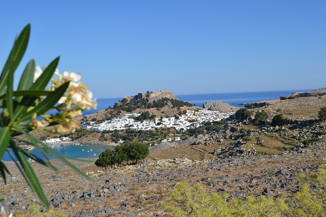 Rhodos-Vip: Guided Tour to Lindos village + Butterflies Valley - Valley of the Butterflies: panaxia quadripunctaria poda and the real walking time