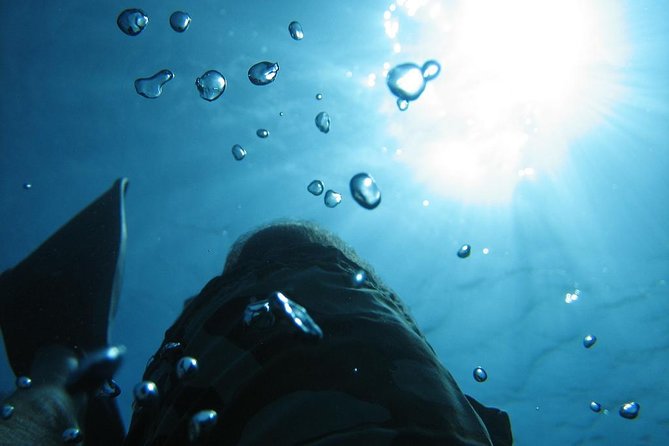 SCUBA DIVE: Kallithea's Underwater Exploration - A First Scuba Try Session at Kallithea Reef