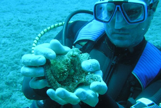 SCUBA DIVE: Kallithea's Underwater Exploration - The Main Underwater Session: 6–7 Meters for 25 Minutes