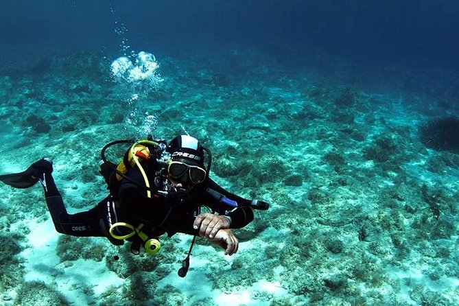 SCUBA DIVE: Kallithea's Underwater Exploration - Sea Life Around Kallithea: What You Can Actually Look For