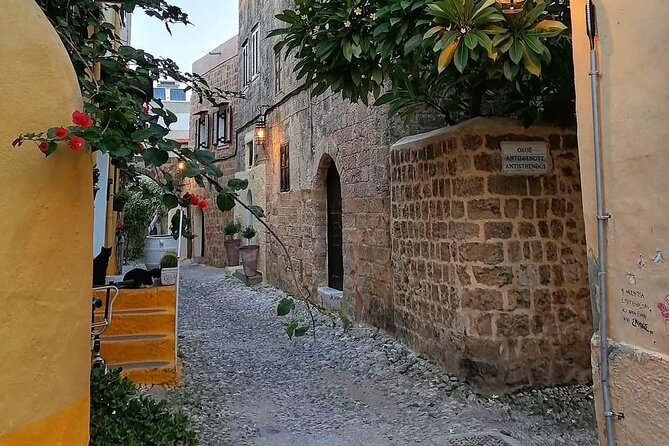 Semi-Private Walking Tour of Rhodes Old Town from the Cruise Port - How the guide turns your free time into a plan