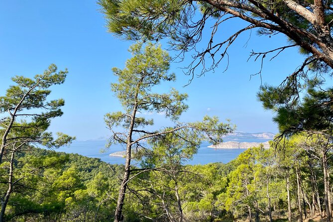 Small group hiking between the beach and Kritinia Castle - Kritinia Castle stop: ruins on a viewpoint, not a postcard