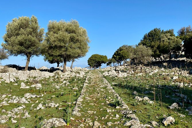 Small Group Hiking from Salakos to Profitis Ilias - Price and logistics: what you pay for, and what you should expect
