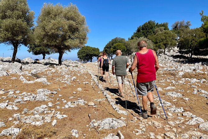 Small Group Hiking from Salakos to Profitis Ilias - The Forest Game Plan: cypresses and Aleppo pines keep it comfortable