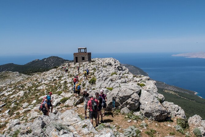 Small Group Hiking on Mount Akramitis in Rhodes - The forest approach to Limeri Cave: what you’ll notice on the walk