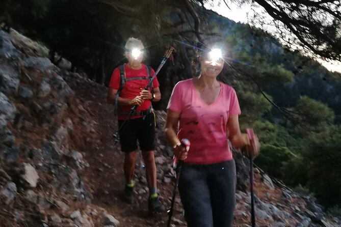 Small Group Sunset Hiking from Salakos to Profitis Ilias - Walking through pine shade, then stepping into twilight