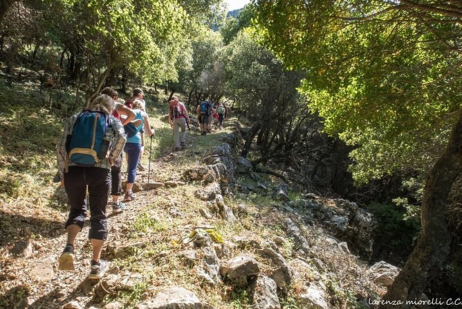 Small Group Sunset Hiking from Salakos to Profitis Ilias - Should you book this hike from Salakos to Profitis Ilias?