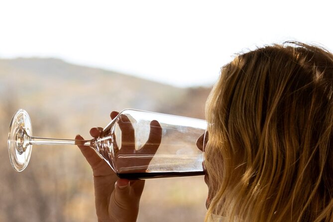 Traditional Greek COOKING class and Wine Tasting in Rhodes - Vineyards first: what this day gets right in Rhodes