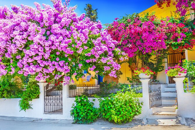 Vine & Dine Tale: 11-Plate Lunch, Wine Discovery, Cooking Mastery - The 11-course Greek lunch: what to expect, and how to pace it