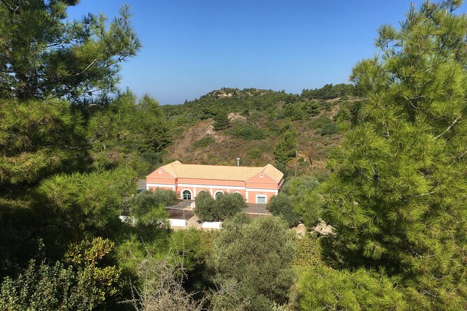 Winery Tour, Tasting and cooking with the Winemaker in Rhodes - Cooking class in the middle of the tour: optional, but worth your time