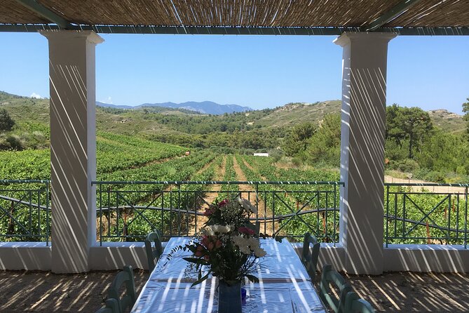 Winery Tour, Tasting and cooking with the Winemaker in Rhodes - Tsipouro distillation: the digestive finale that feels local