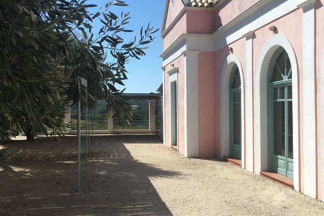 Winery Tour, Tasting and cooking with the Winemaker in Rhodes - Price and value: what you get for about $94.93