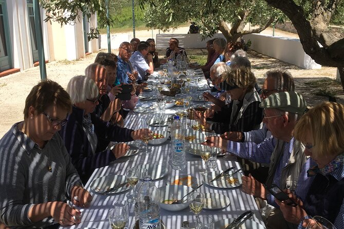 Winery Tour, Tasting and cooking with the Winemaker in Rhodes - The guide energy: fun, patient, and actually informative